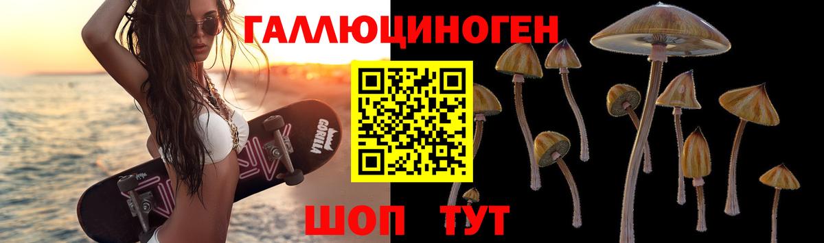 Галлюциногенные грибы прущие грибы  Вход с VPN  Гудермес  цена наркотик  Псилоцибиновые грибы MAGIC MUSHROOMS 